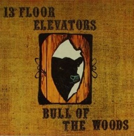 flux4_1_13thFloorElevators