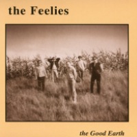 novo_05_audioselecta_1_thefeelies_web