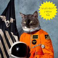 flux4disc_klaxons_surfingthevoid